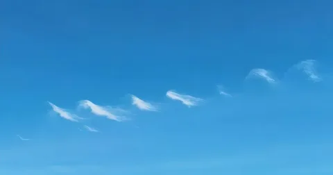 Белорусская волна